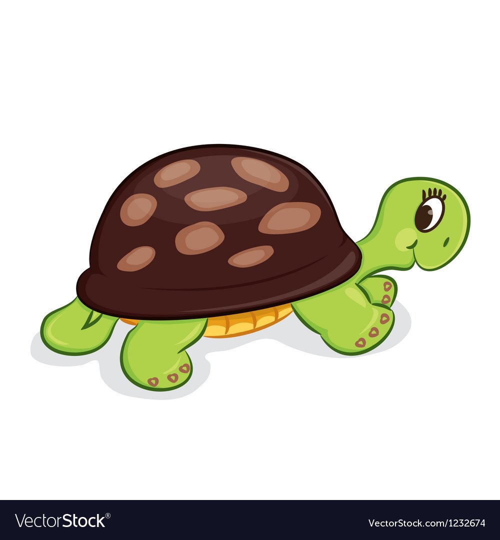 Черепашка на прозрачном фоне