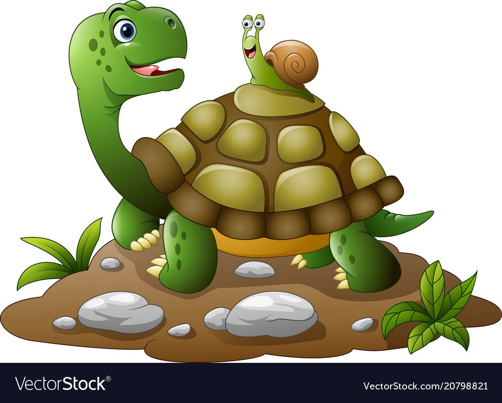 Мультик про черепашку