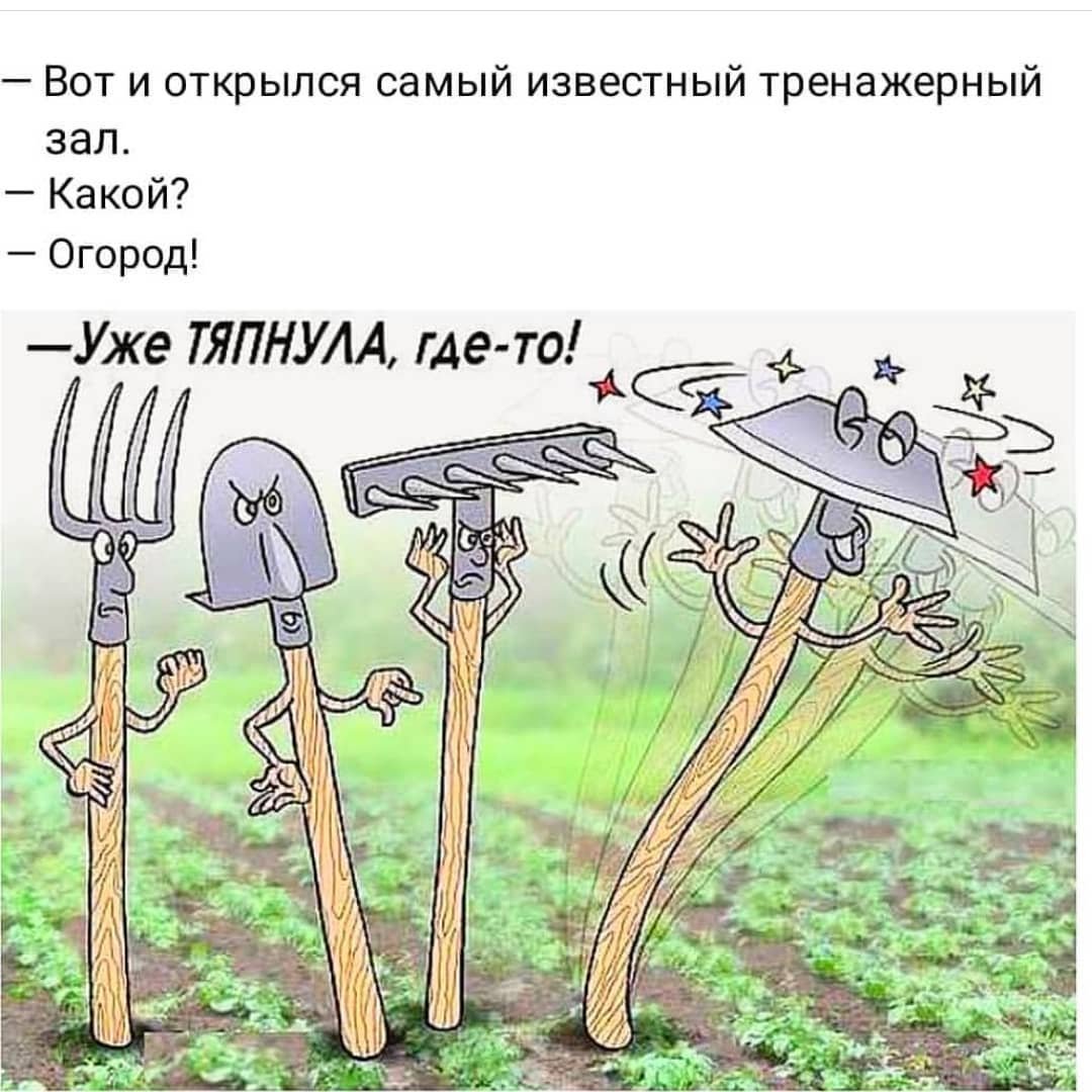 Чучело на даче прикольные