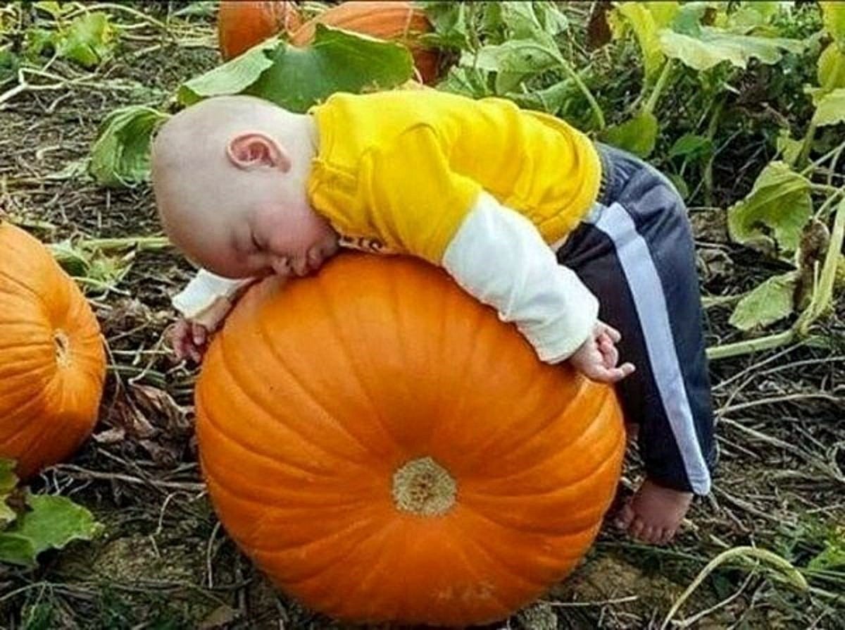 Карикатура дача