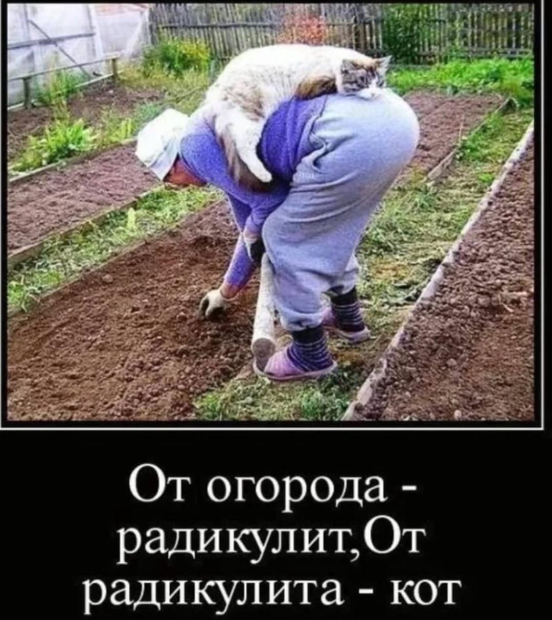 Чучело в огород прикольное