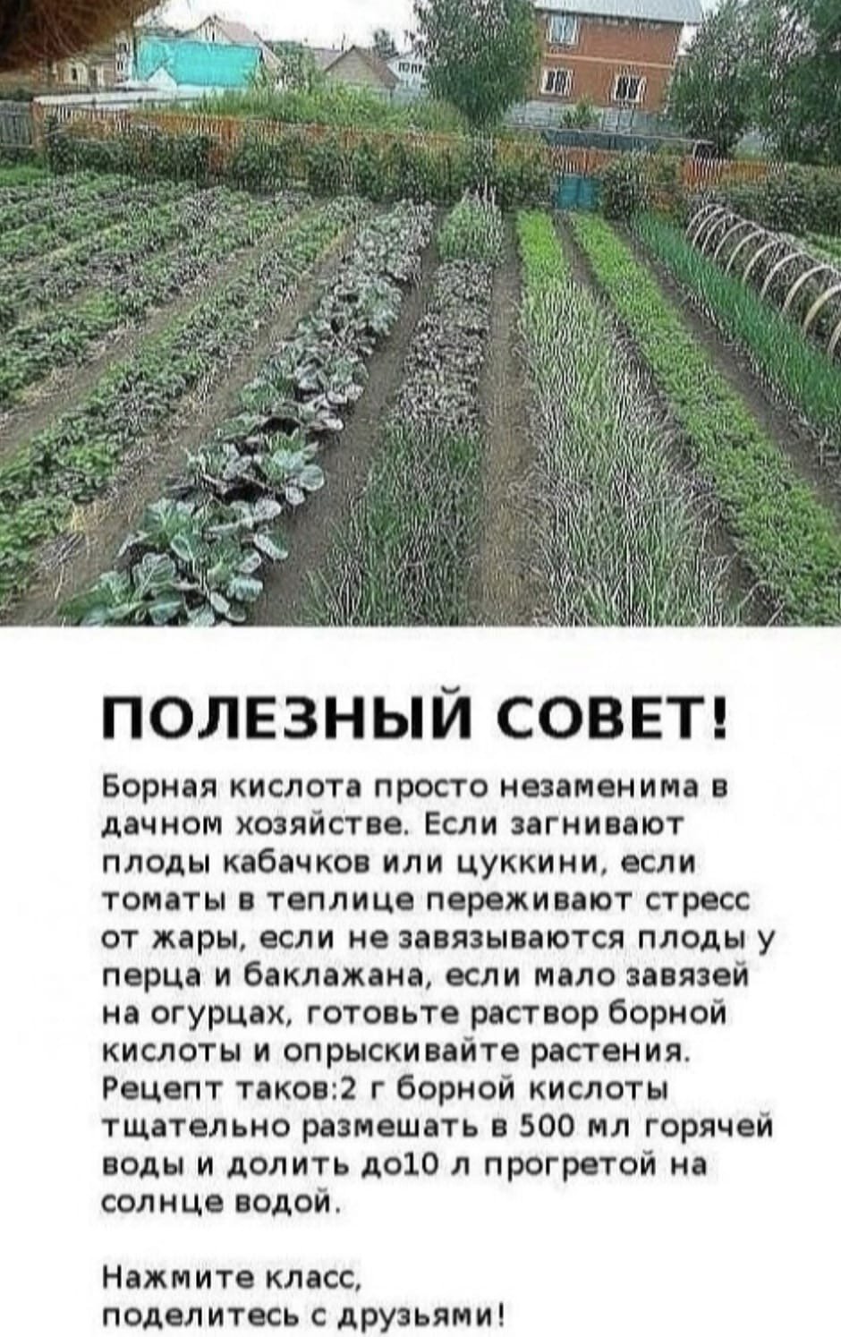 Карикатура дача