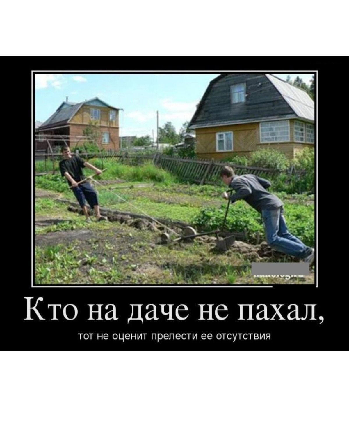 Про огород прикольные