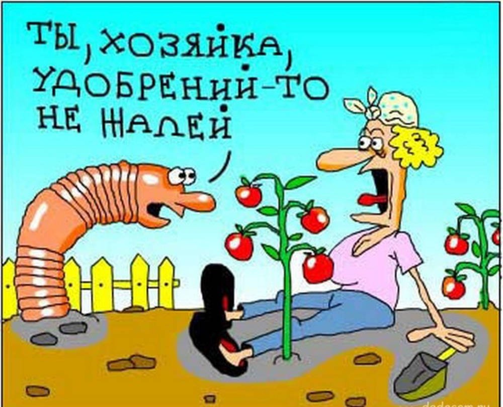 Огород карикатура