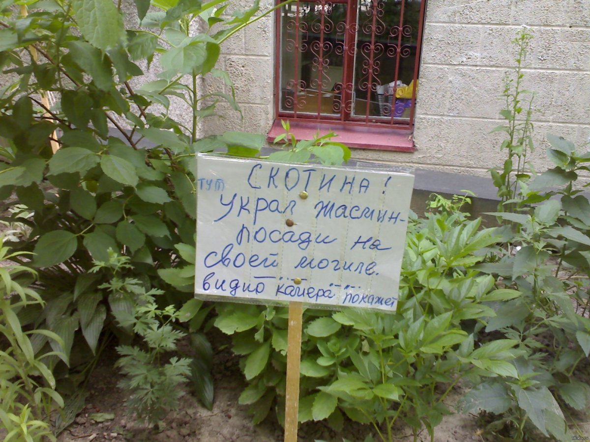 Демотиваторы про дачу