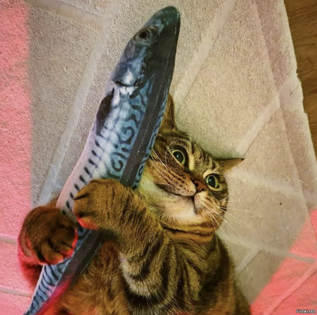 Довольный кот с рыбой