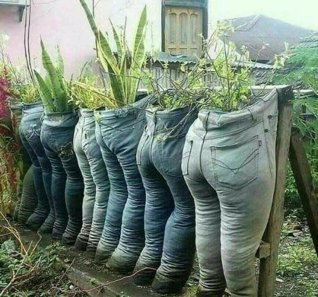 День дачника