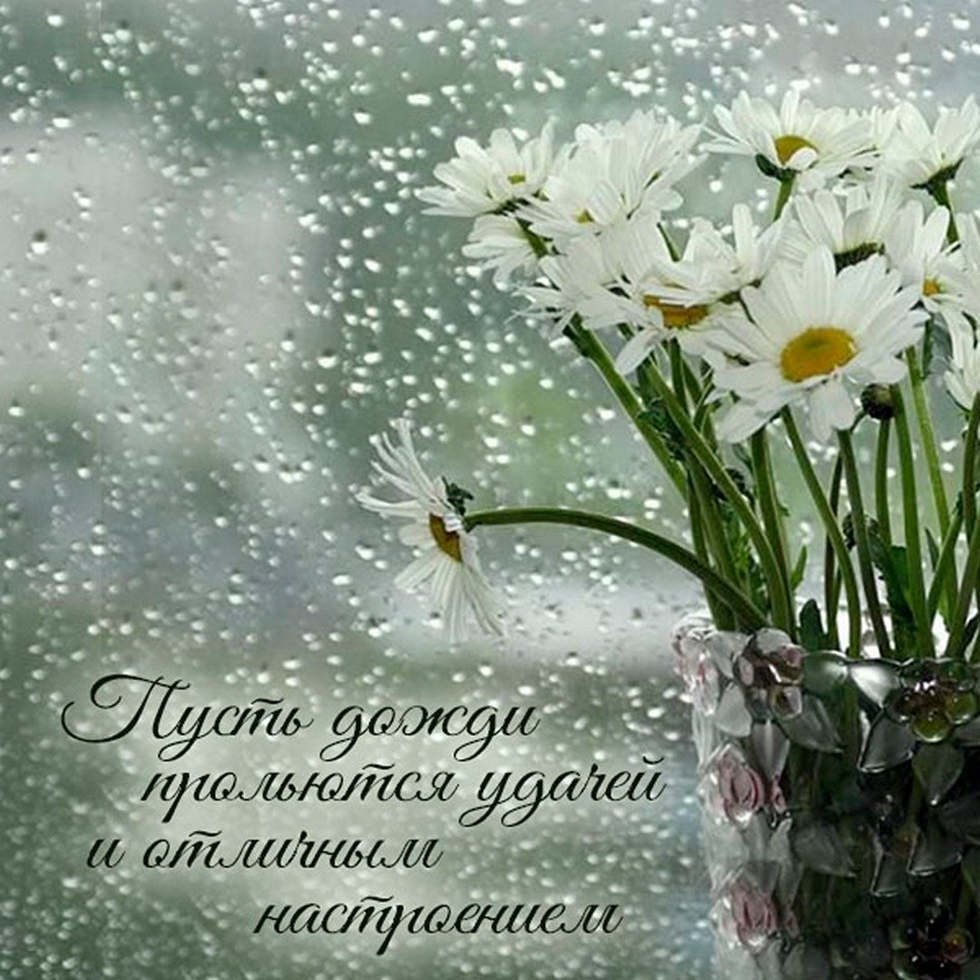 Дождливое летнее утро