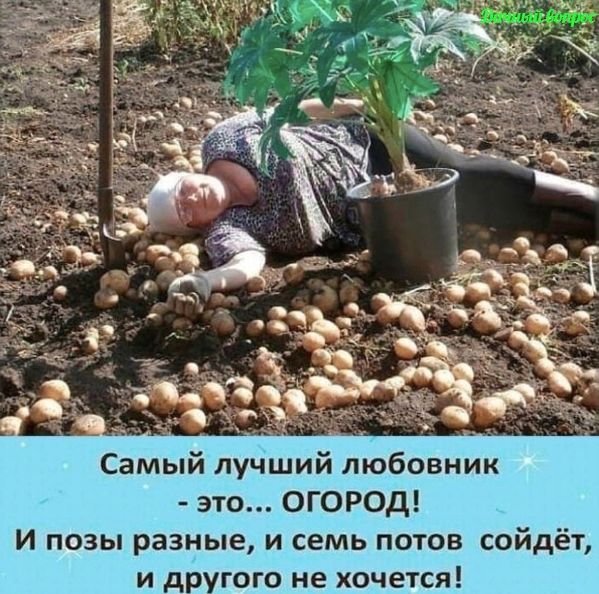 Смешные картинки про садоводов