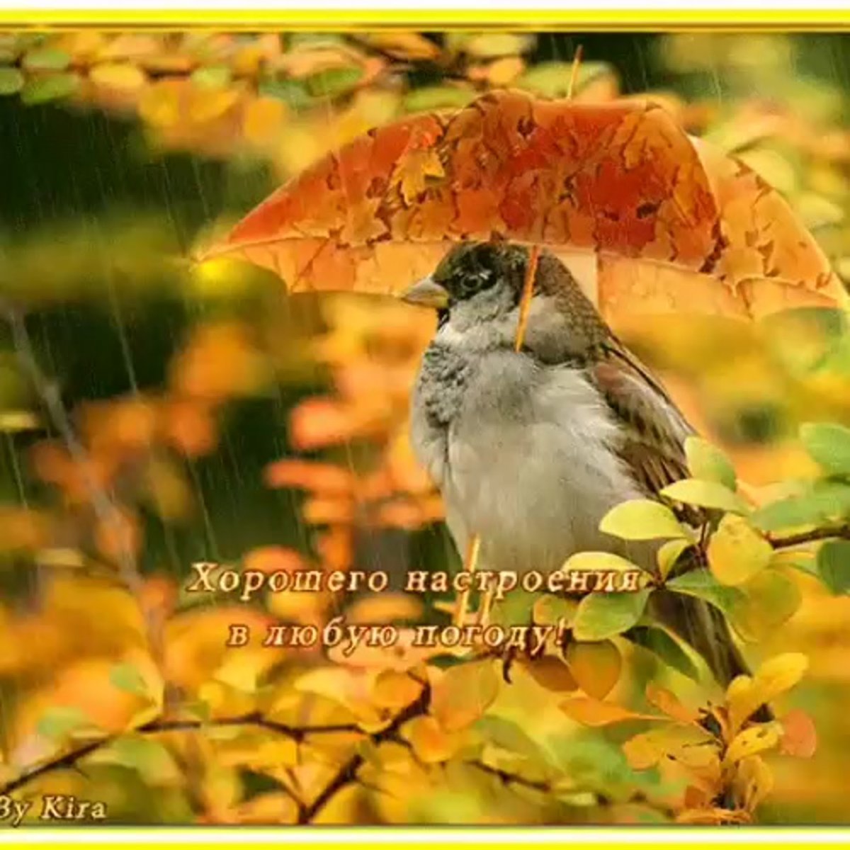 Осеннего настроения в любую погоду