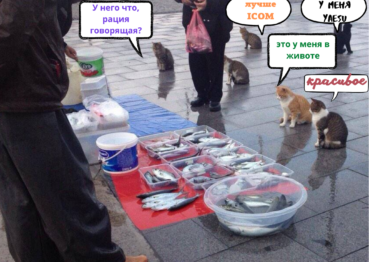 Красивое Мем