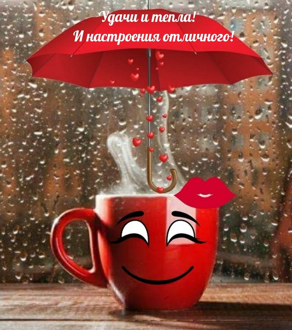 Доброе дождливое утро