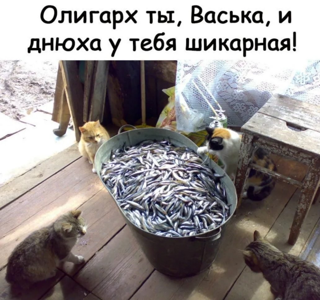 Рыба прикол