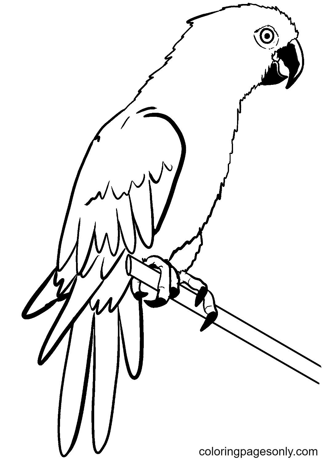 Картины карандашом