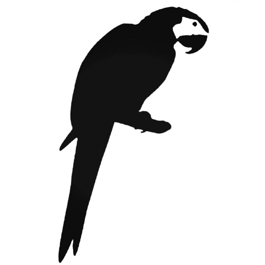 Раскраска попуганы