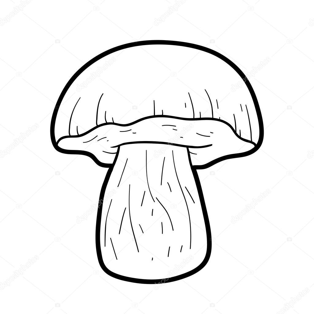 Грибы псилоцибы