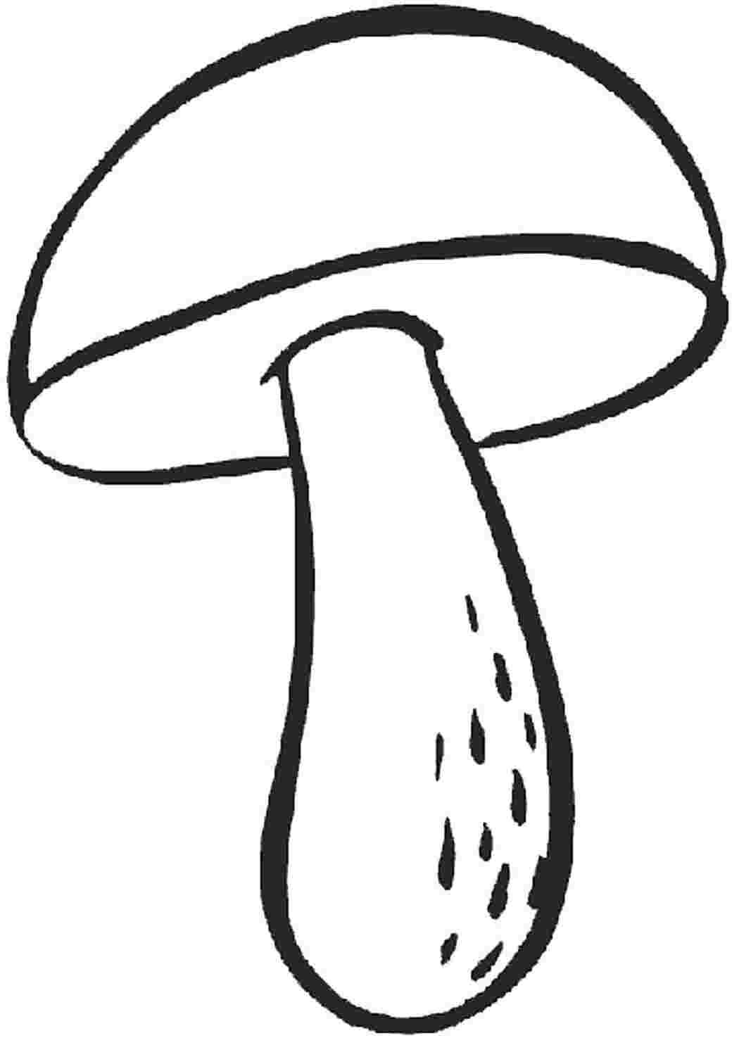 Несъедобные грибы раскраска