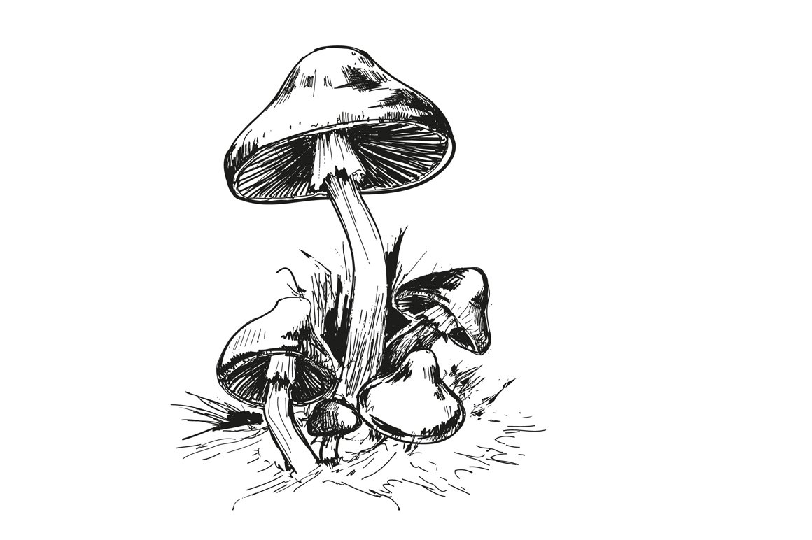 Грибы мультяшные картинки