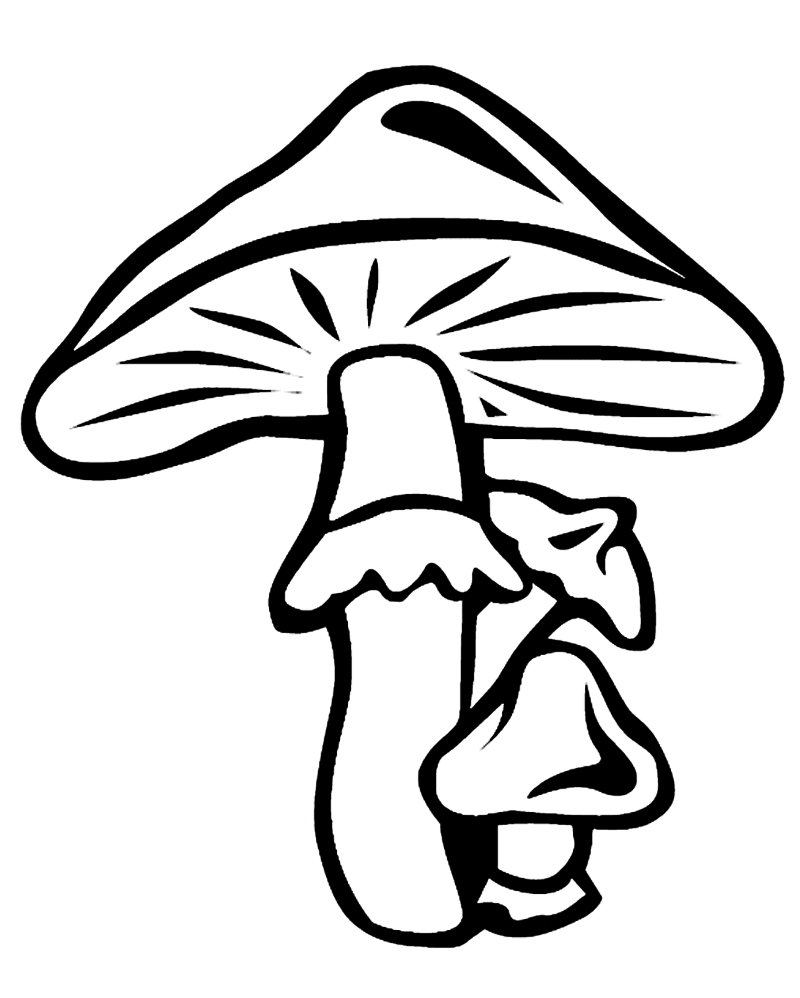 Грибы раскраска для детей