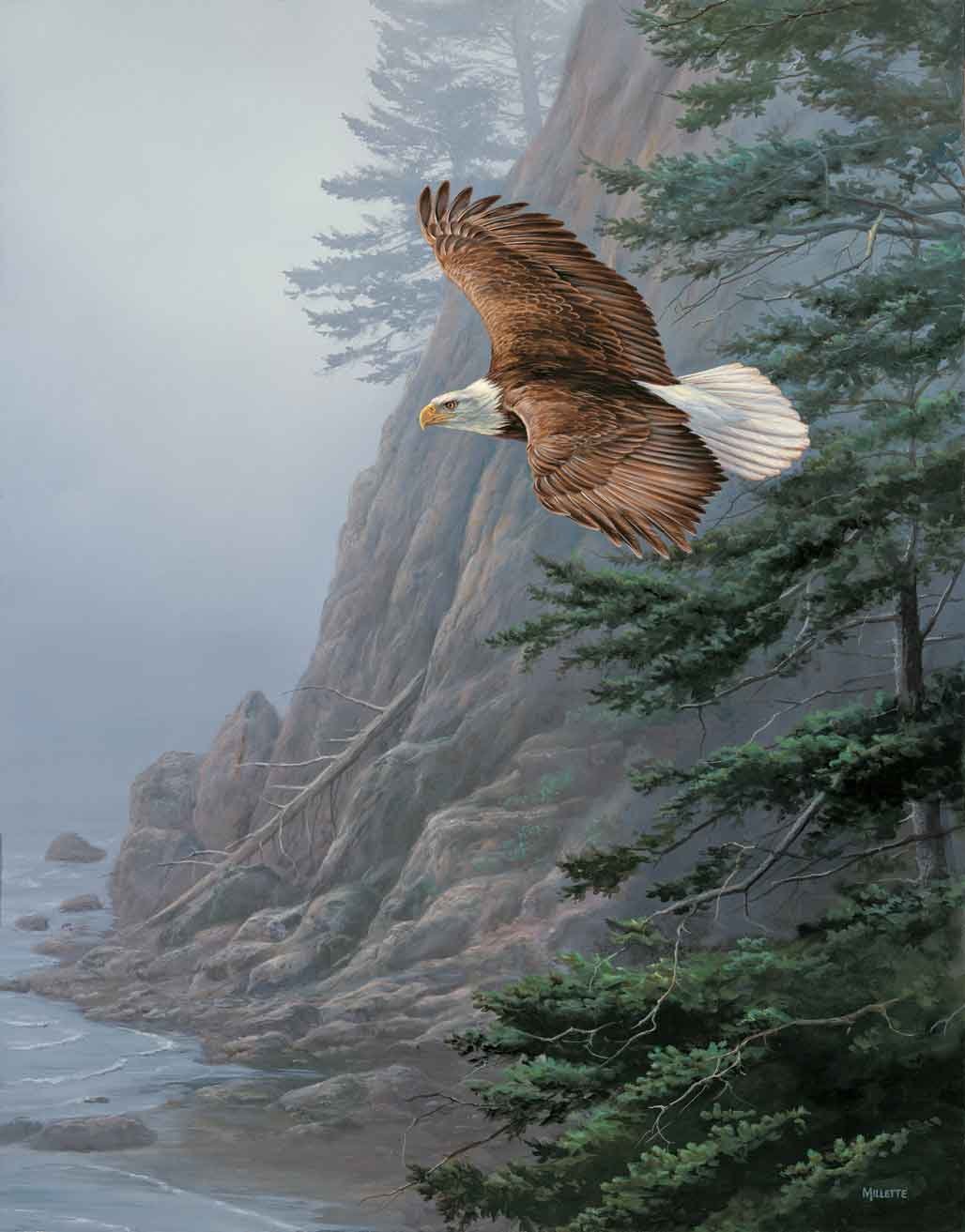 Полет орла в живописи