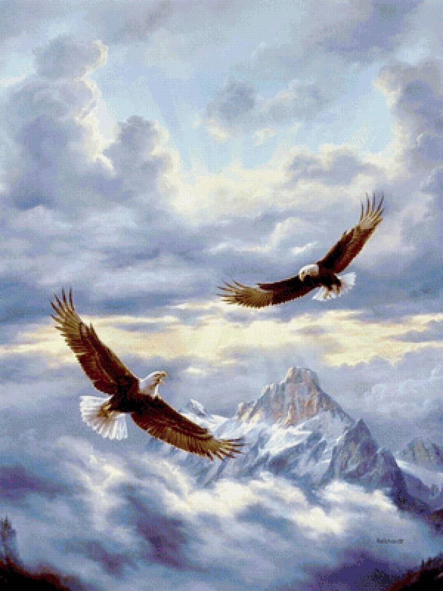 Орел в полете