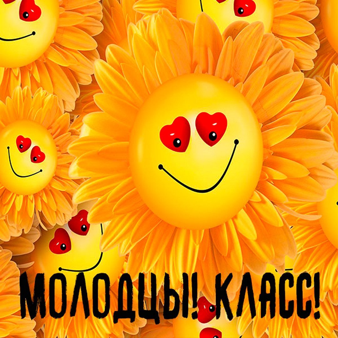 Молодцы так держать