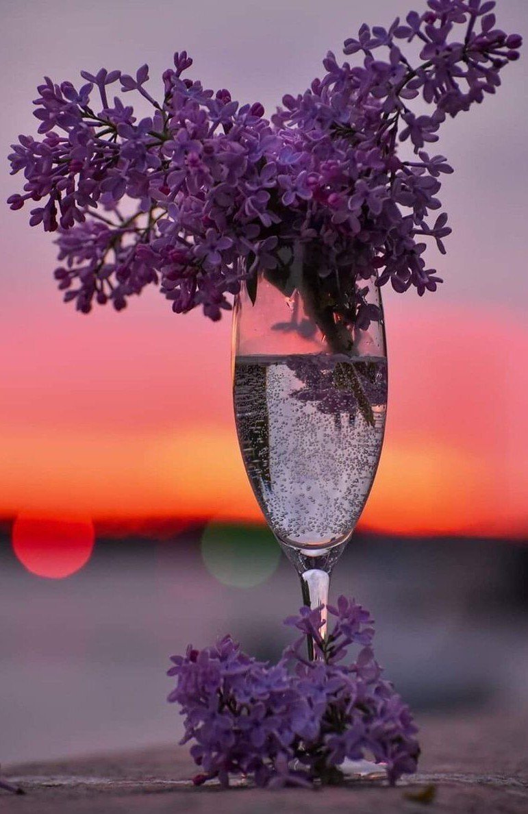 Прекрасного вечера