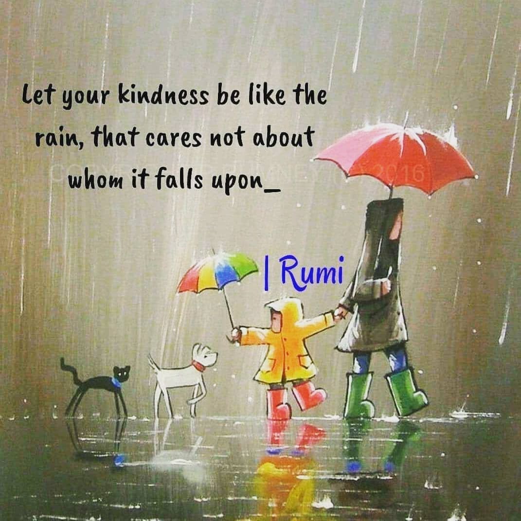 Жождливое лченнее утро