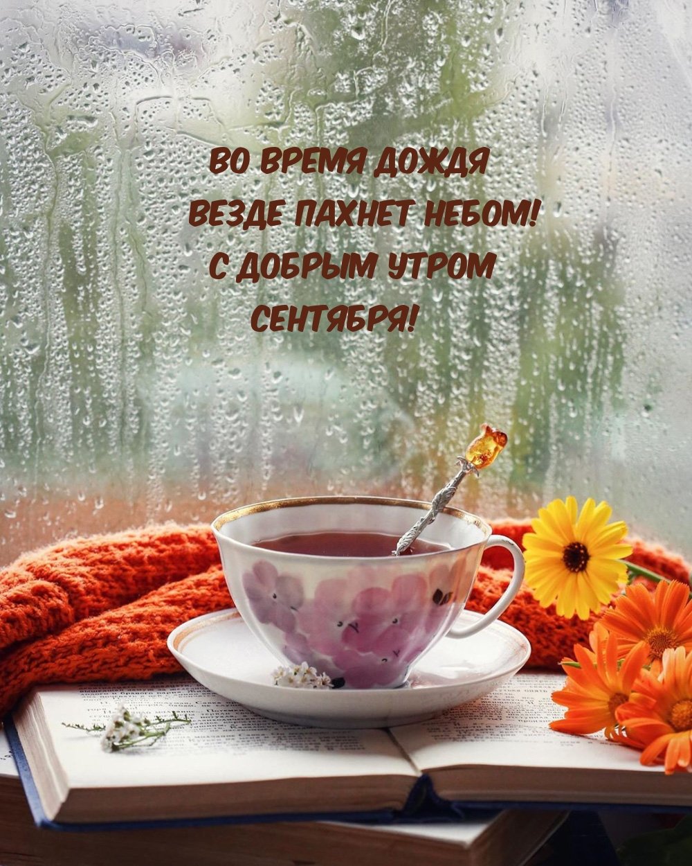 Дождливое утро