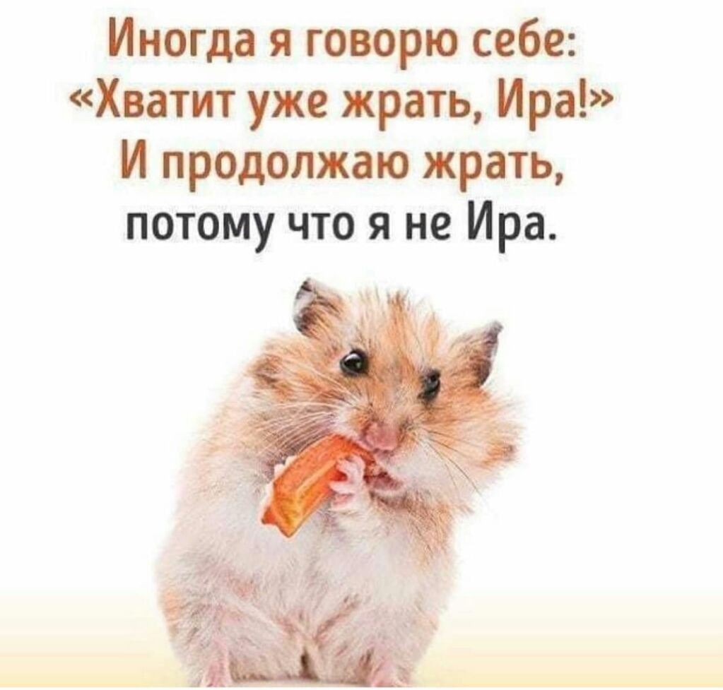 Иногда я говорю себе хватит жрать
