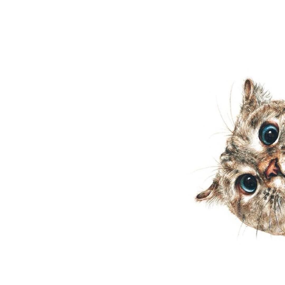 Обои с надписью не ешь