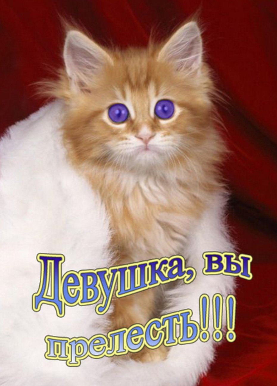 Открытка красивой девушке комплимент