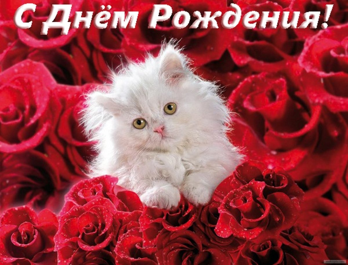 Открытки какая ты хорошенькая