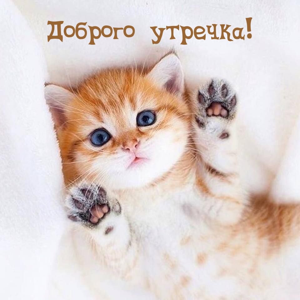 Розовая милота