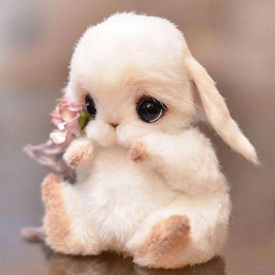 Нежные котята