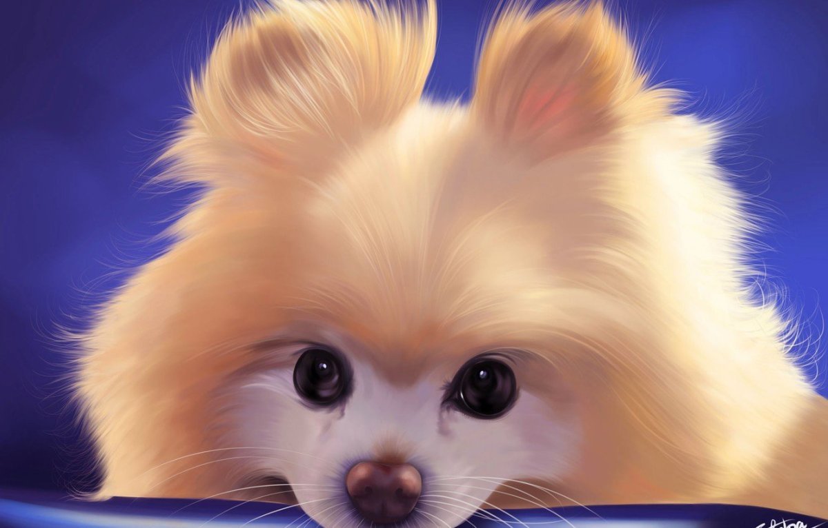 Мимимишные картинки