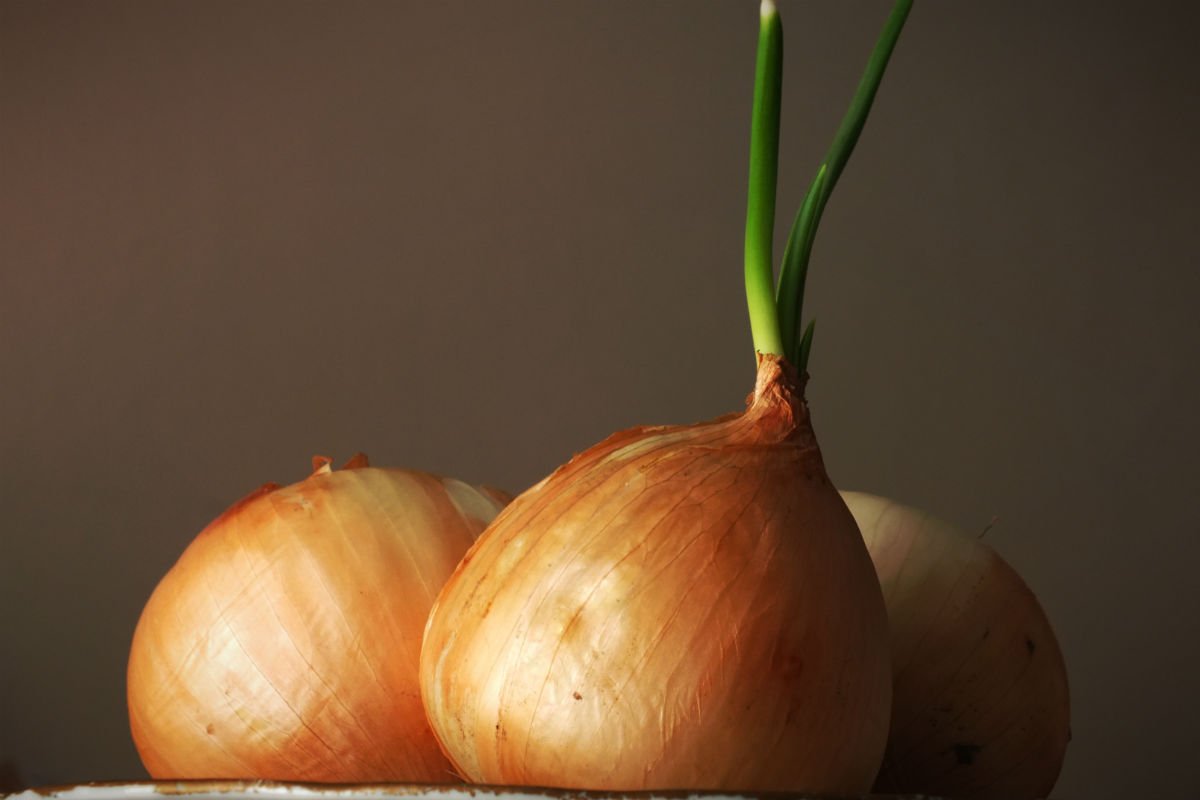 Мешки для овощей Рисованные