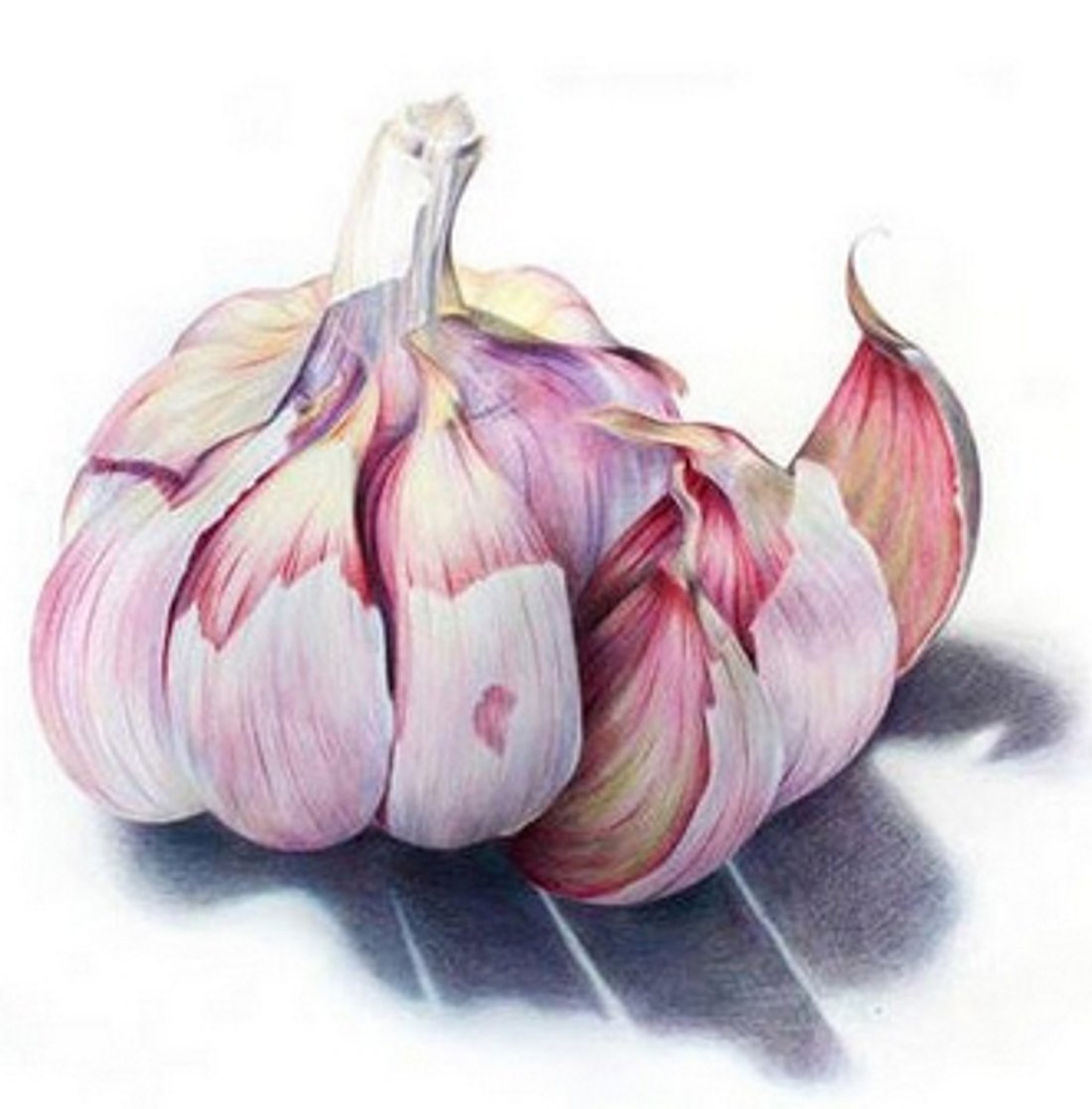 Лук репчатый