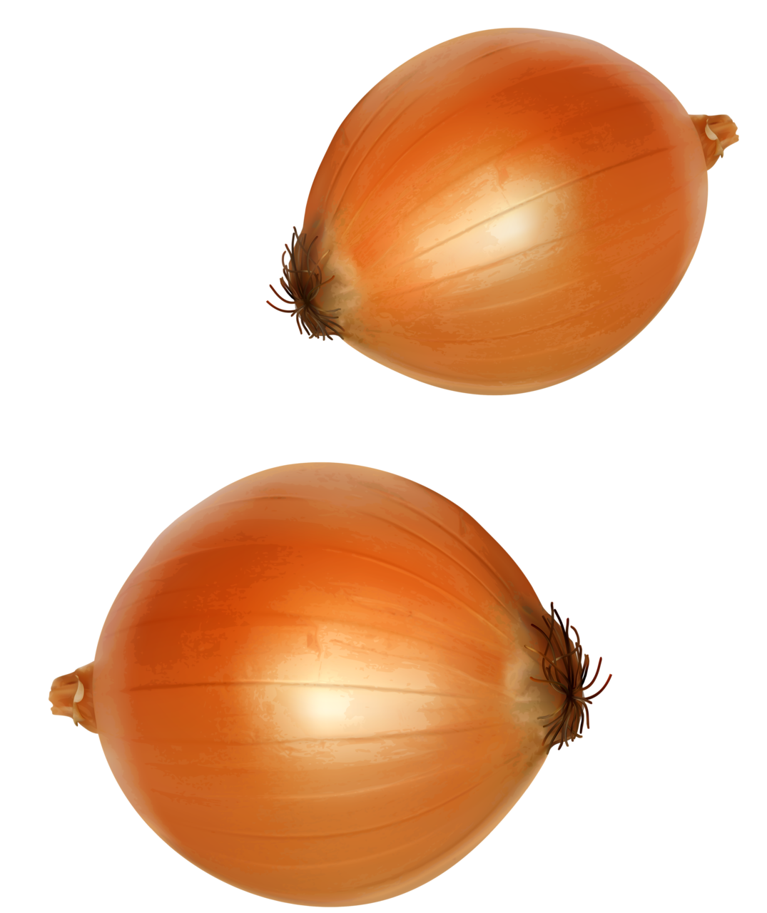 Чеснок референс