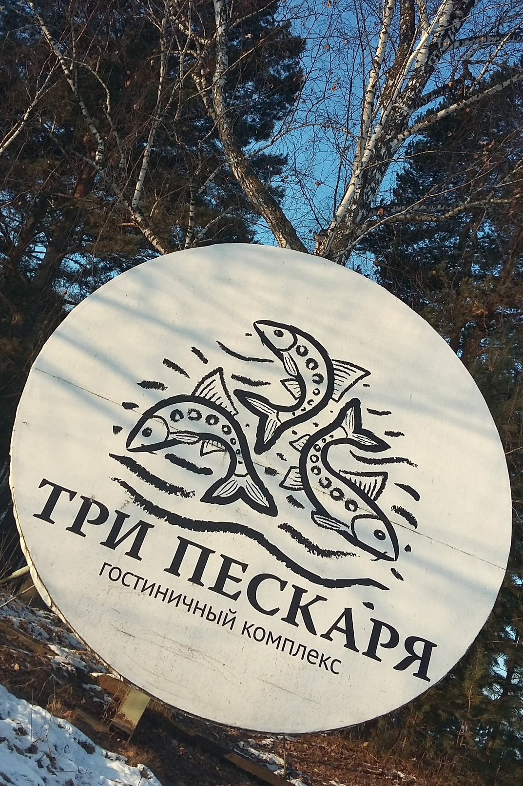 Буратино фильм 1975