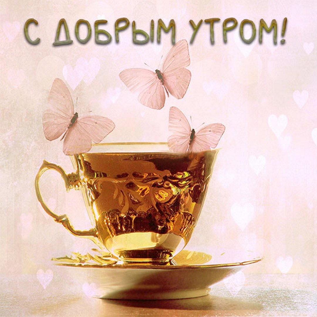 Сказочного вечера