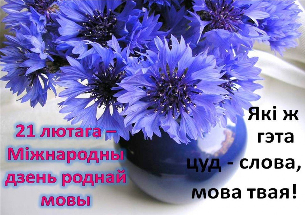 Васильки открытки