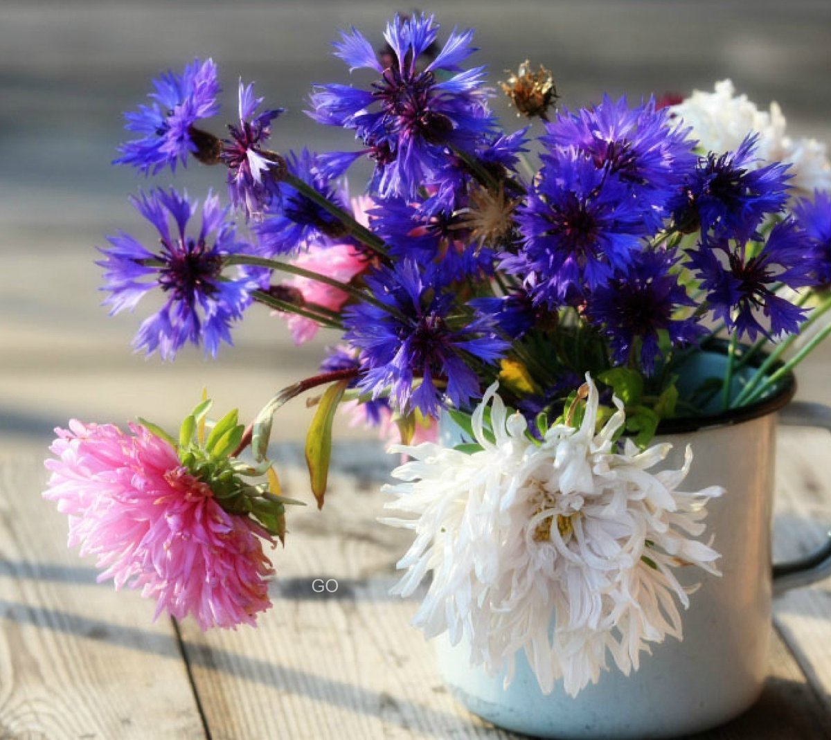 Васильки букет