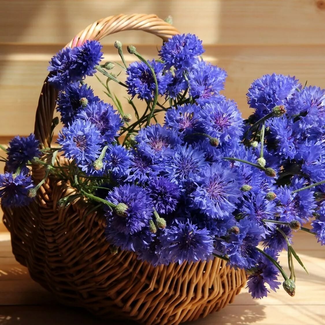 Корзинка с полевыми цветами