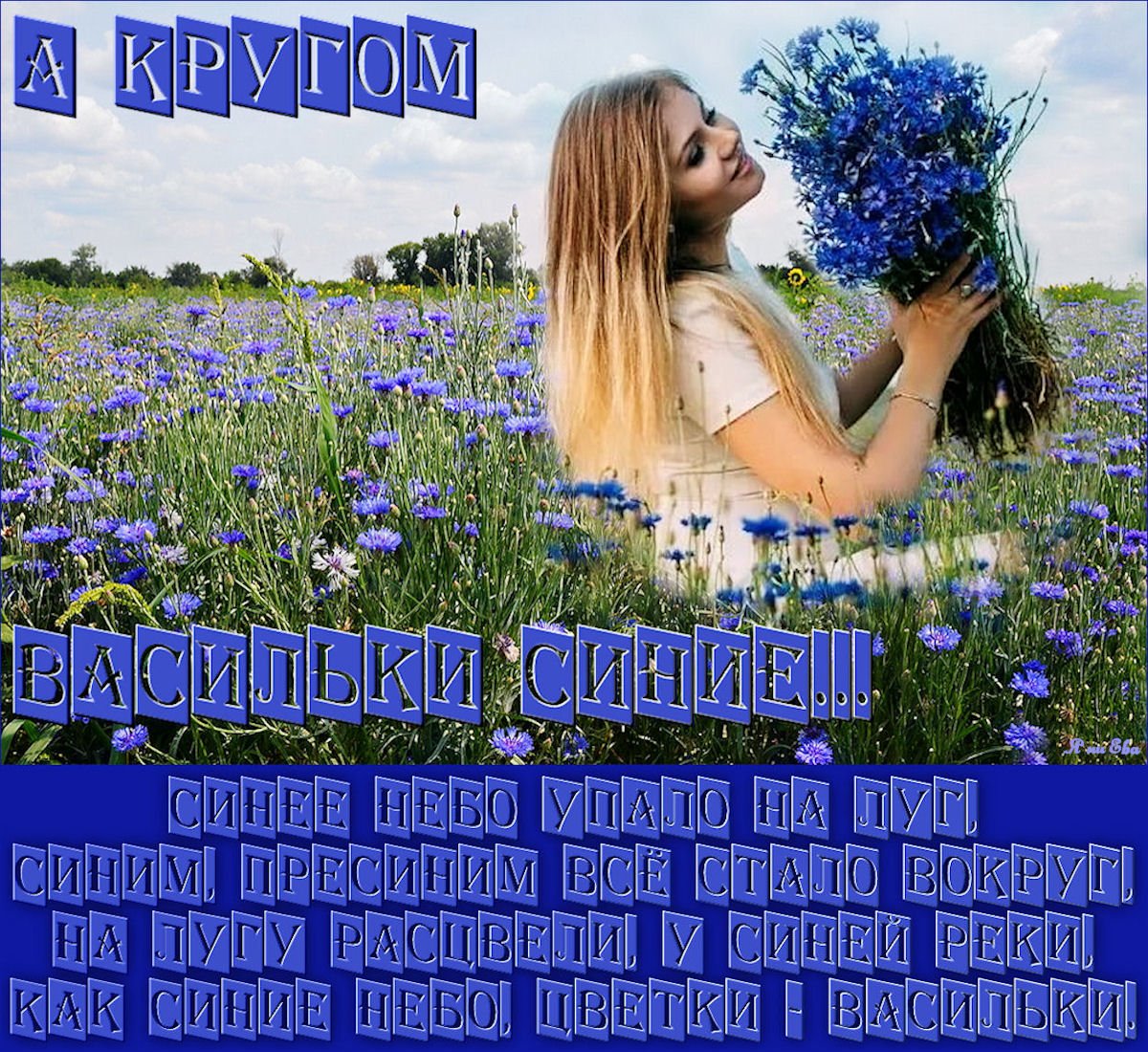 Цветы ромашки и васильки