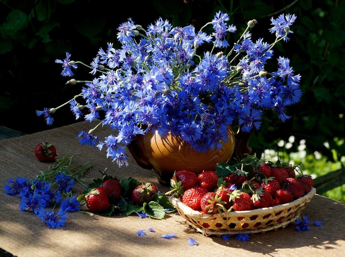 Букет полевых цветов