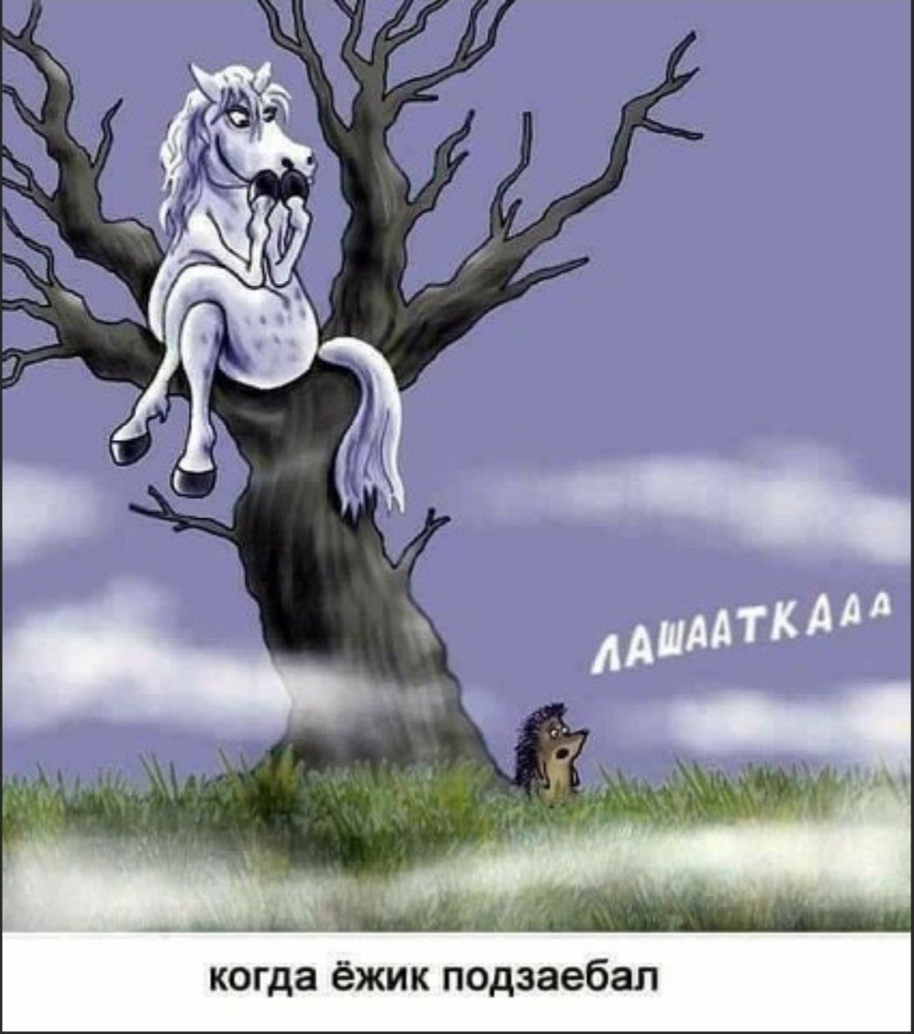 Ежик лошадка