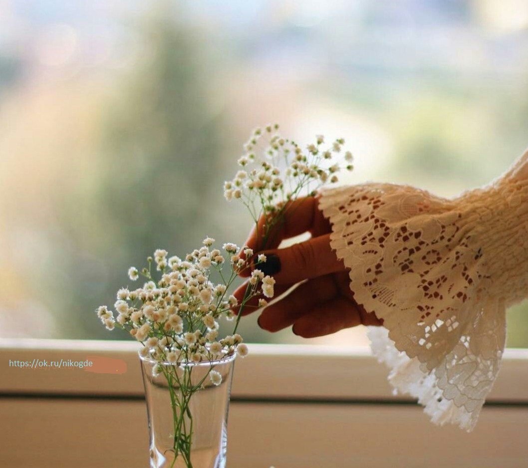 Осенние иллюстрации Люси Флеминг