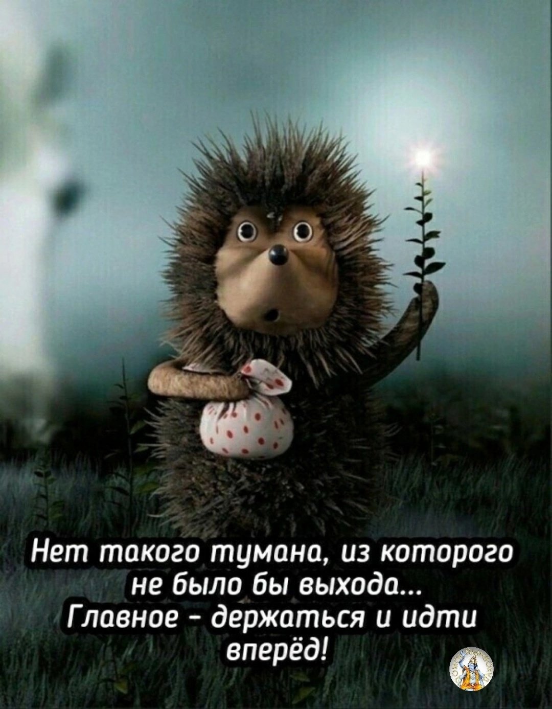 Кот в тумане