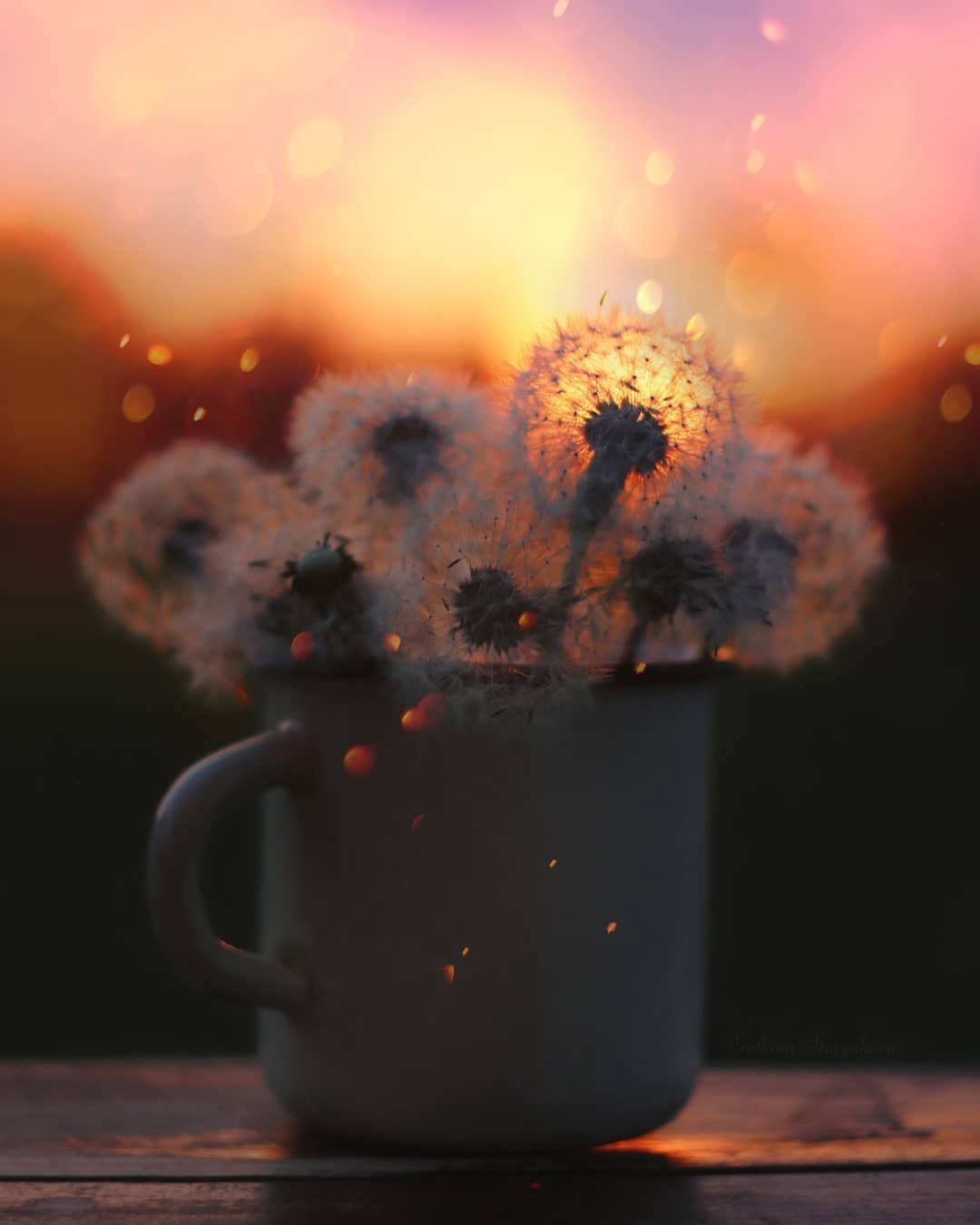 Ощущение счастья